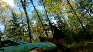 Скриншот №5 к порно видео Осень 2018 секс в лесу на капоте авто